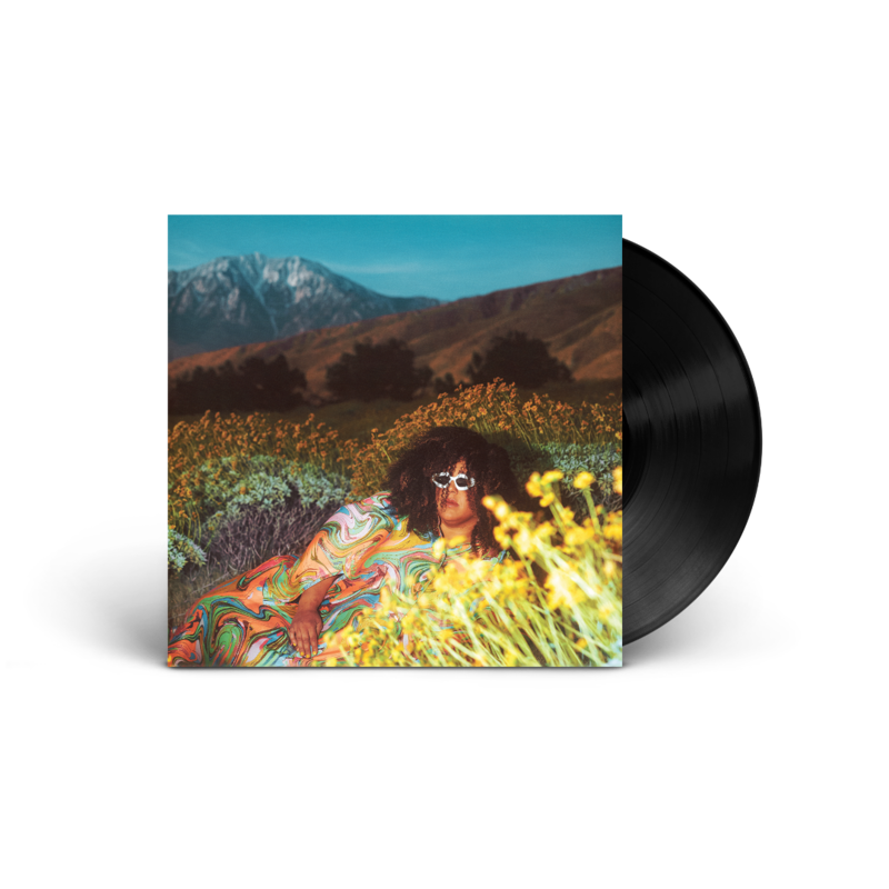 What Now by Brittany Howard - Standard Vinyl - shop now at uDiscover store