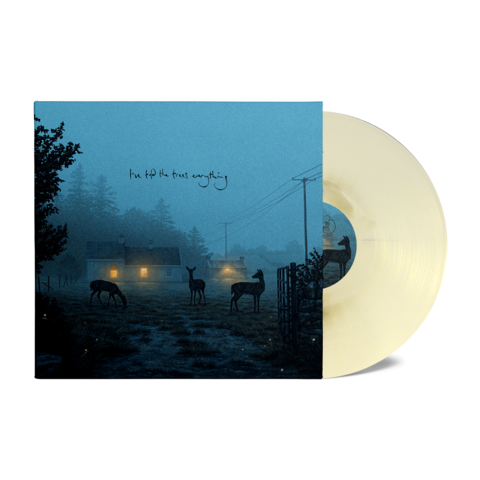 i’ve told the trees everything by Dermot Kennedy - LP - Exclusive Marble Vinyl - shop now at uDiscover store