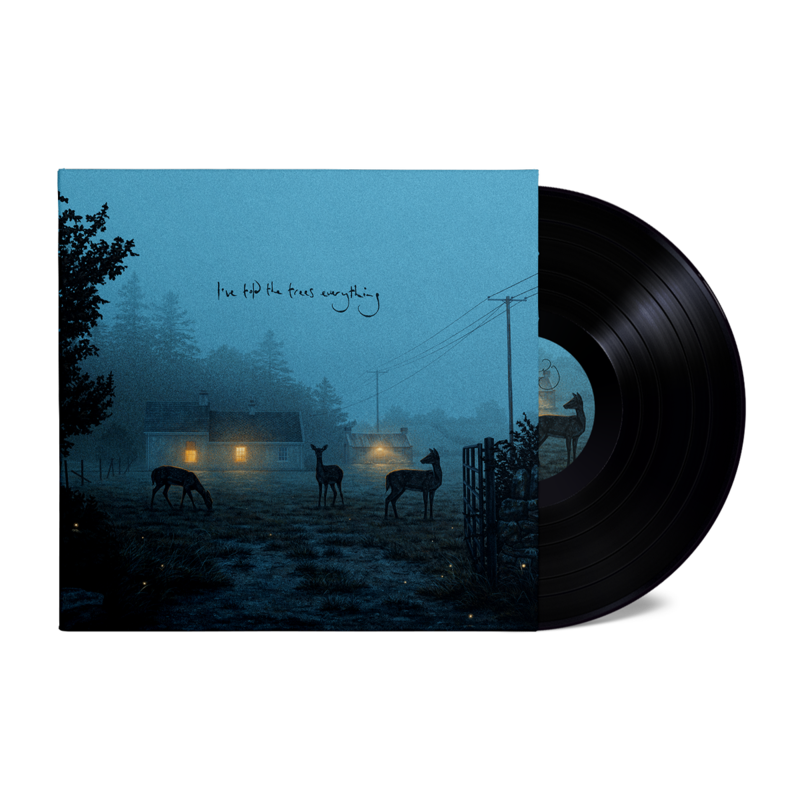 i’ve told the trees everything by Dermot Kennedy - LP - shop now at uDiscover store