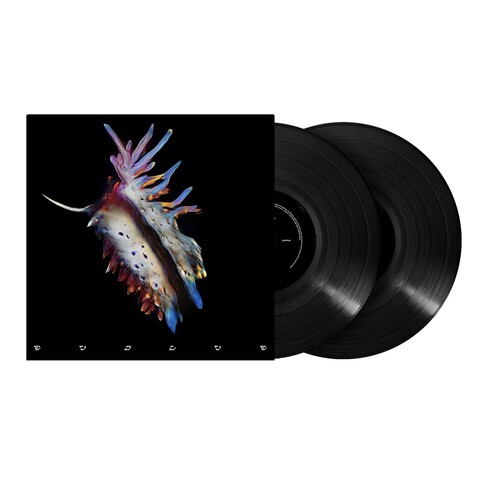 Evolve by Sub Focus - 2LP black - shop now at uDiscover store