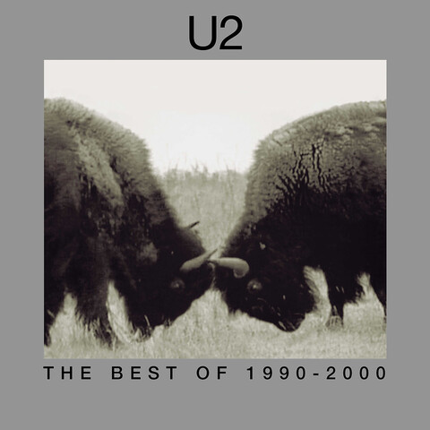 The Best Of 1990-2000 by U2 - 2LP - shop now at uDiscover store