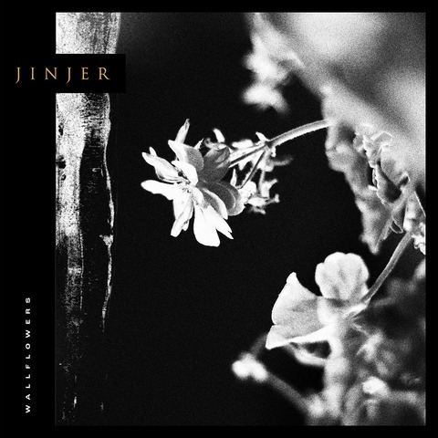 Wallflowers by Jinjer - LP - shop now at uDiscover store